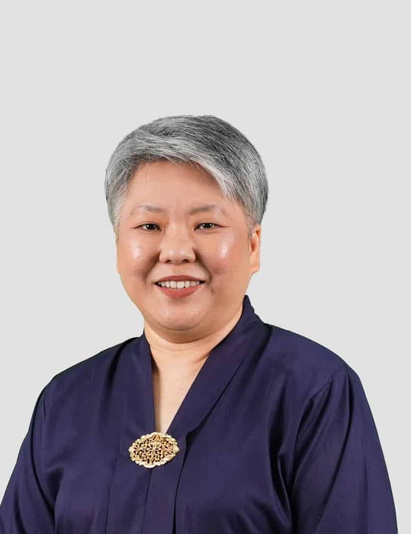 Professor Dr Azlina Amir Abbas