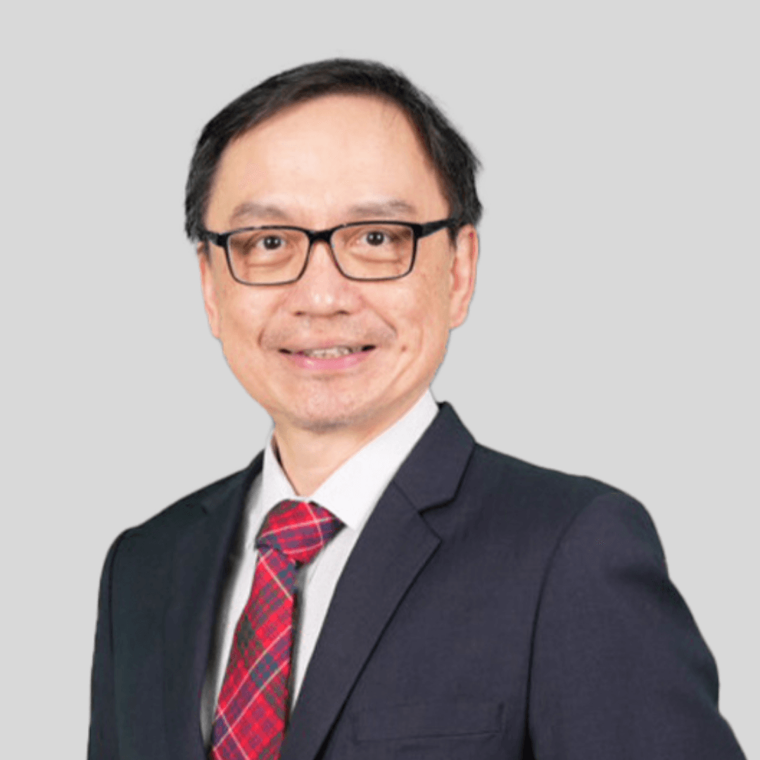 Professor Dr Ong Teng Aik