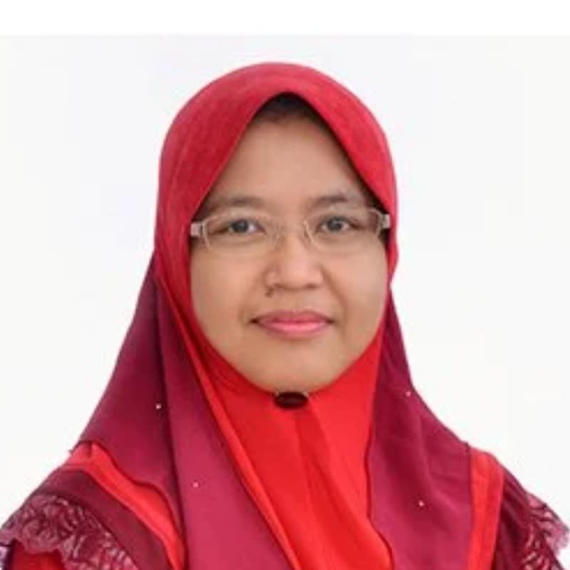 Dr Nor Hanisah Mohd Said