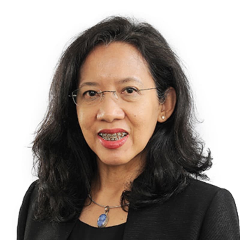 Dr. Zainariah Bt Mohd Zain