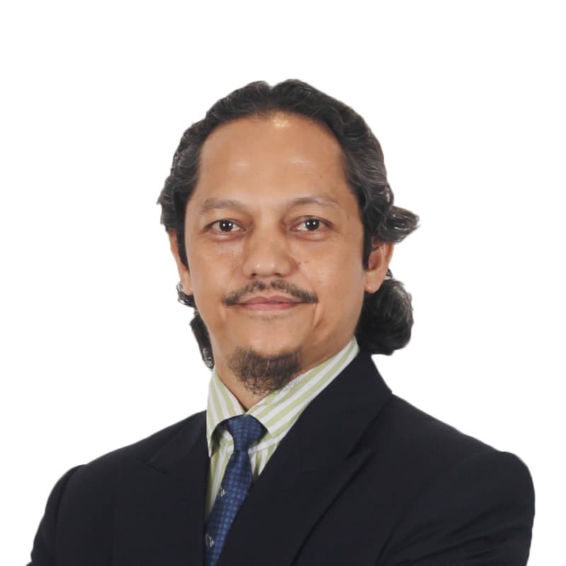 Prof. Dr. Wan Hazmy Che Hon