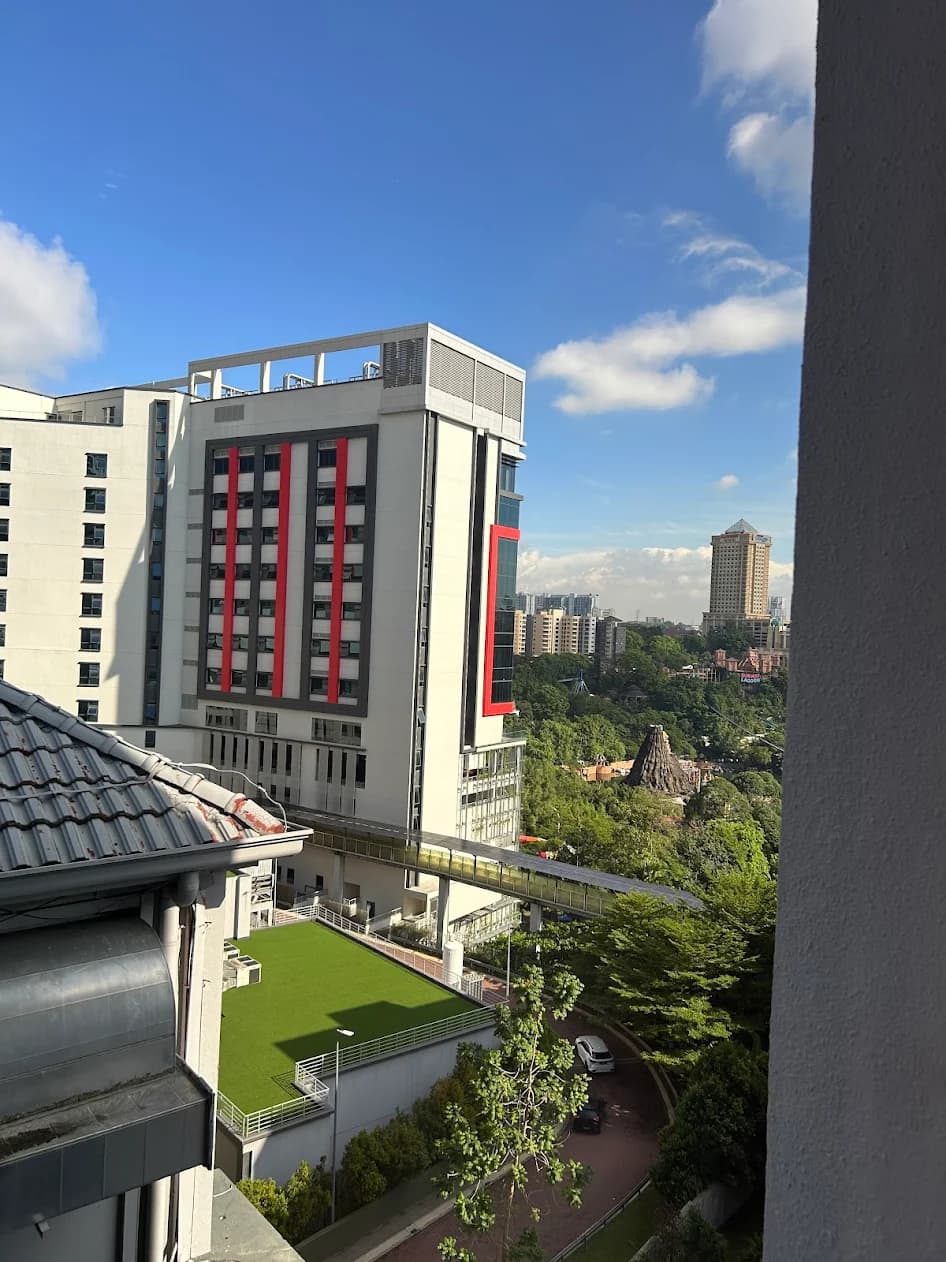Review image 1