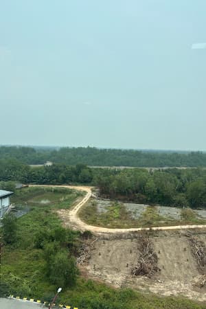 Review image 2